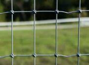 Horse Fence - No Climb