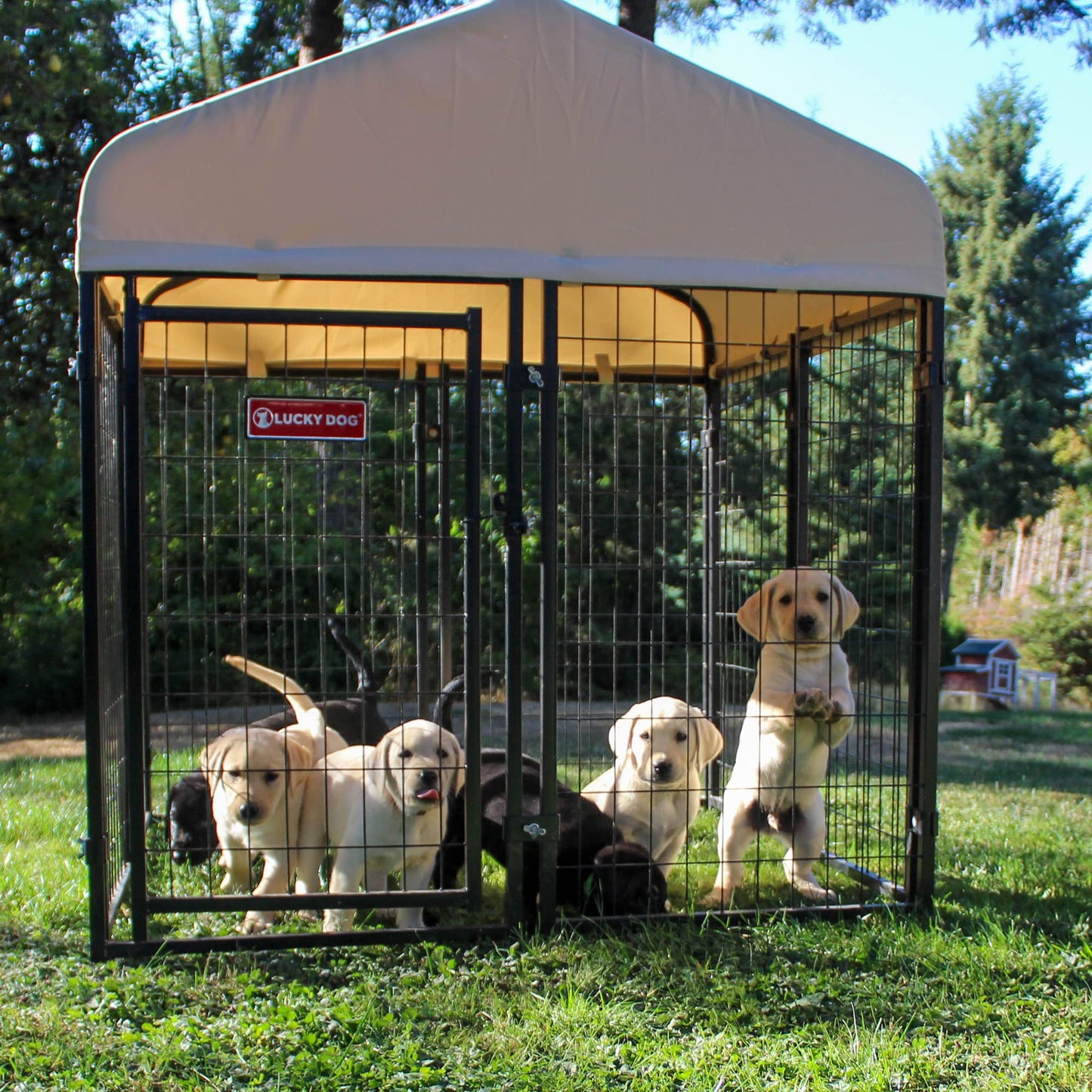 Lucky Dog Outdoor Steel Frame Kennel Playpen Enclosure w/Black Canopy, Uptown Series, 8'x4'x6'