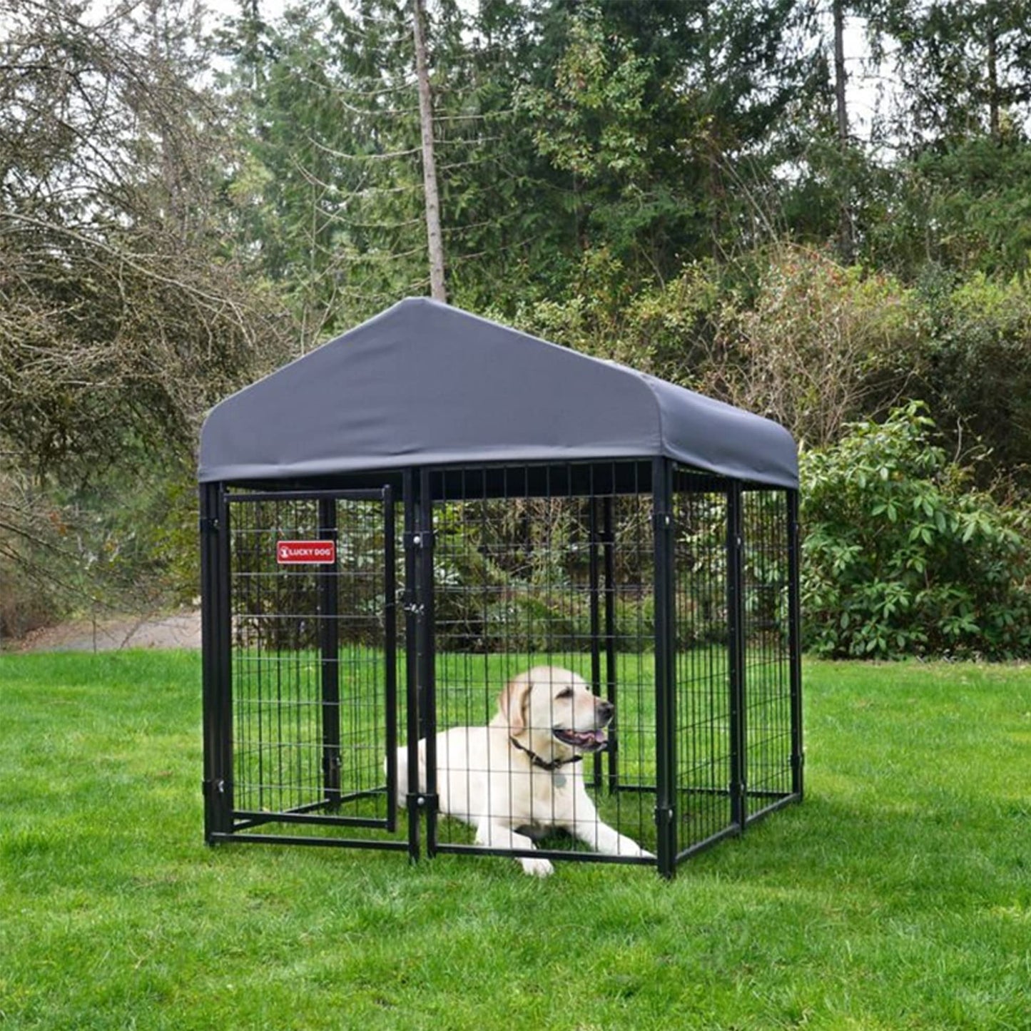 Lucky Dog Outdoor Steel Frame Kennel Playpen Enclosure w/Black Canopy, Uptown Series, 8'x4'x6'
