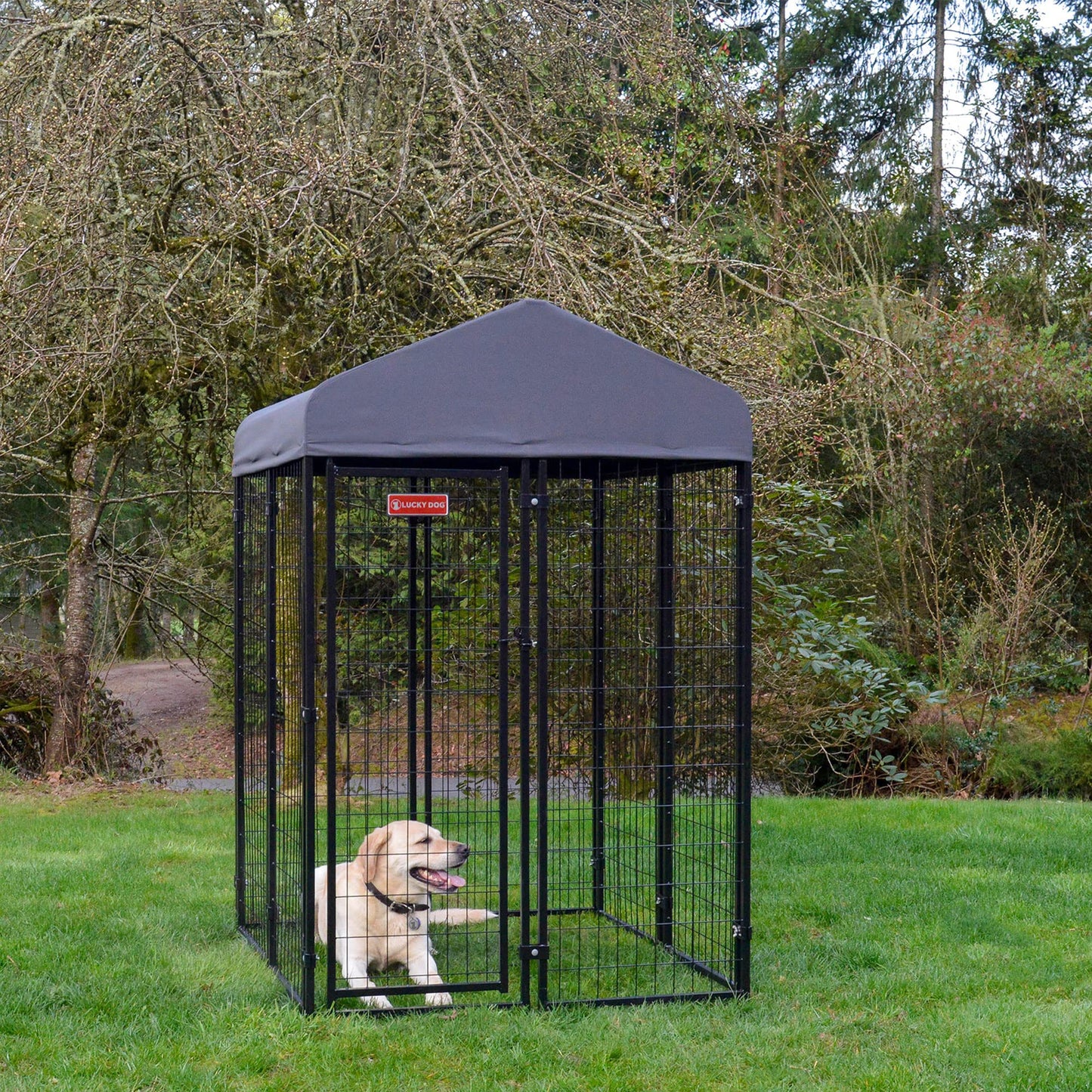 Lucky Dog Outdoor Steel Frame Kennel Playpen Enclosure w/Black Canopy, Uptown Series, 8'x4'x6'