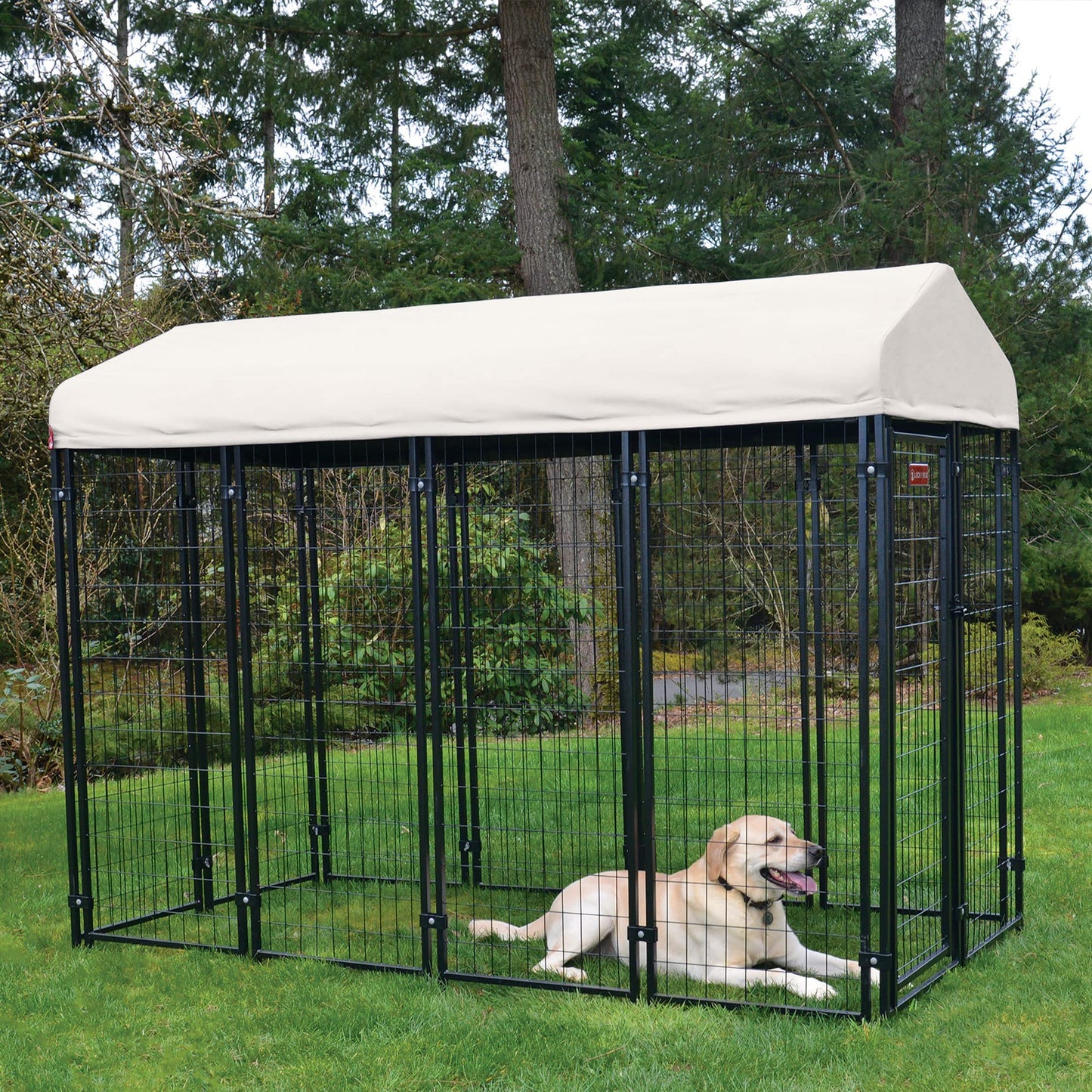 Lucky Dog Outdoor Steel Frame Kennel Playpen Enclosure w/Black Canopy, Uptown Series, 8'x4'x6'