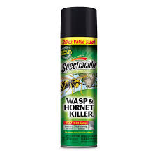 Wasp Spray