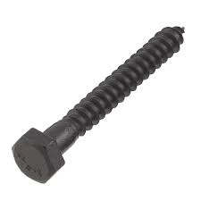 5/16" x 2" Black Lag Screw